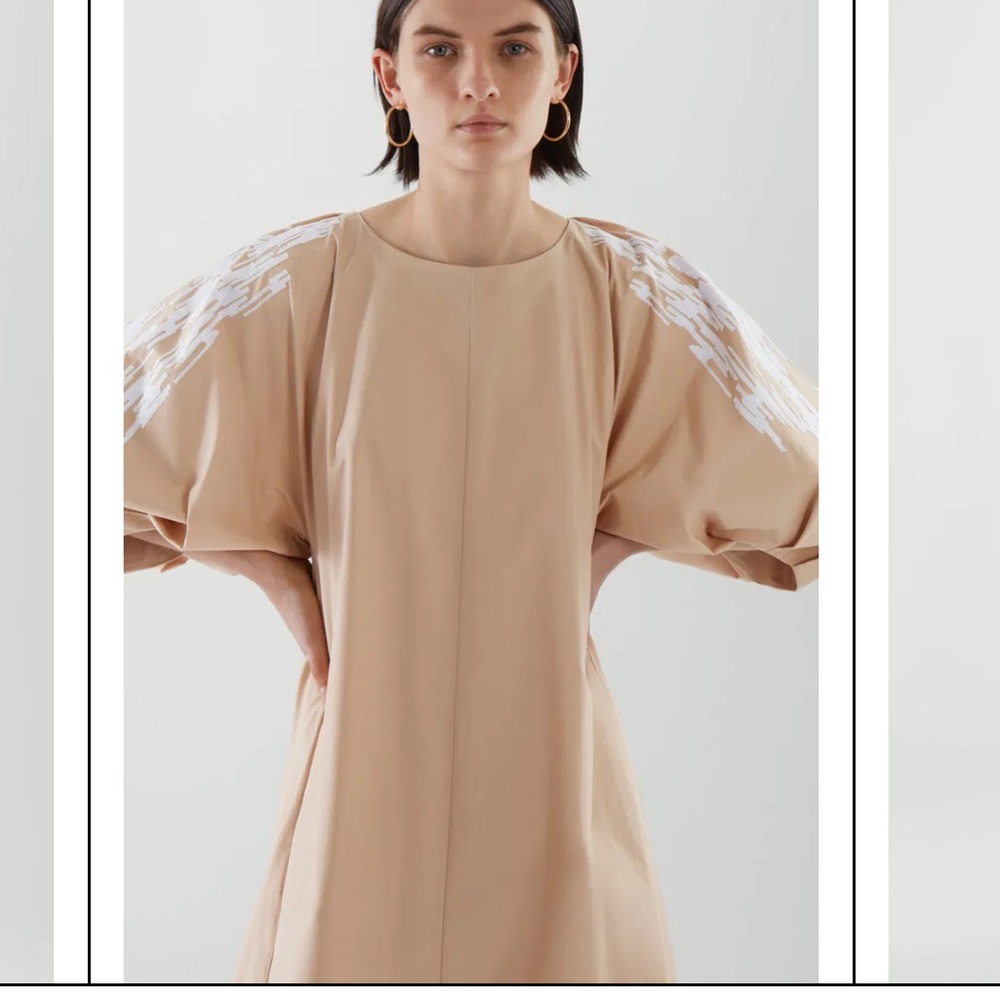 COS Embroidered Puff Sleeve Dress - Picture 11 of 13